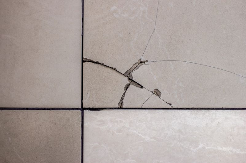 Tile Repair Solutions